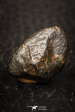 05801 - Fully Complete NWA L-H Type Unclassified Ordinary Chondrite Meteorite 3.5g