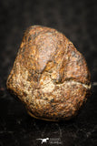 05802 - Fully Complete NWA L-H Type Unclassified Ordinary Chondrite Meteorite 5.0g