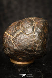 05802 - Fully Complete NWA L-H Type Unclassified Ordinary Chondrite Meteorite 5.0g