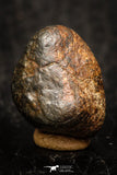 05802 - Fully Complete NWA L-H Type Unclassified Ordinary Chondrite Meteorite 5.0g