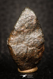 05803 - Fully Complete NWA L-H Type Unclassified Ordinary Chondrite Meteorite 8.5g