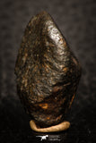 05803 - Fully Complete NWA L-H Type Unclassified Ordinary Chondrite Meteorite 8.5g