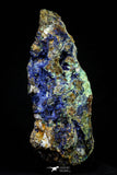 21193 - Beautiful Azurite Cristals + Malachite Cristals in Quartz Matrix - Alnif (South Morocco)