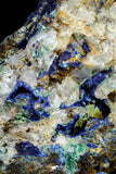 21193 - Beautiful Azurite Cristals + Malachite Cristals in Quartz Matrix - Alnif (South Morocco)