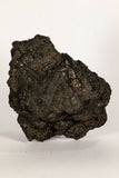 30389 - Top Rare Grasshopper Preserved in Brea - Pleistocene Tar Pits California
