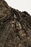 30389 - Top Rare Grasshopper Preserved in Brea - Pleistocene Tar Pits California