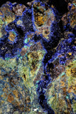 21194 - Beautiful Azurite Cristals + Malachite Cristals in Quartz Matrix - Alnif (South Morocco)