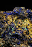 21194 - Beautiful Azurite Cristals + Malachite Cristals in Quartz Matrix - Alnif (South Morocco)