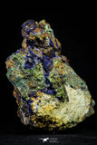 21194 - Beautiful Azurite Cristals + Malachite Cristals in Quartz Matrix - Alnif (South Morocco)