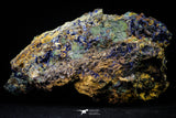 21194 - Beautiful Azurite Cristals + Malachite Cristals in Quartz Matrix - Alnif (South Morocco)