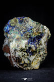 21195 - Beautiful Azurite Cristals + Malachite Cristals + Pyrite Crystals in Quartz Matrix - Alnif (South Morocco)