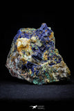 21196 - Beautiful Azurite Cristals + Malachite Cristals + Pyrite Crystals in Quartz Matrix - Alnif (South Morocco)