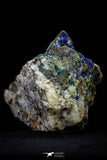 21196 - Beautiful Azurite Cristals + Malachite Cristals + Pyrite Crystals in Quartz Matrix - Alnif (South Morocco)