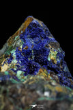 21196 - Beautiful Azurite Cristals + Malachite Cristals + Pyrite Crystals in Quartz Matrix - Alnif (South Morocco)