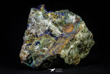 21196 - Beautiful Azurite Cristals + Malachite Cristals + Pyrite Crystals in Quartz Matrix - Alnif (South Morocco)