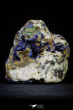 21197 - Beautiful Azurite Cristals + Malachite Cristals + Pyrite Crystals in Quartz Matrix - Alnif (South Morocco)