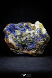 21197 - Beautiful Azurite Cristals + Malachite Cristals + Pyrite Crystals in Quartz Matrix - Alnif (South Morocco)