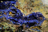 21197 - Beautiful Azurite Cristals + Malachite Cristals + Pyrite Crystals in Quartz Matrix - Alnif (South Morocco)