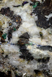 21197 - Beautiful Azurite Cristals + Malachite Cristals + Pyrite Crystals in Quartz Matrix - Alnif (South Morocco)