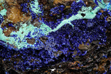 21198 - Beautiful Azurite Cristals + Malachite Cristals in Quartz Matrix - Alnif (South Morocco)