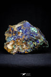 21198 - Beautiful Azurite Cristals + Malachite Cristals in Quartz Matrix - Alnif (South Morocco)