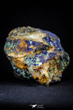21198 - Beautiful Azurite Cristals + Malachite Cristals in Quartz Matrix - Alnif (South Morocco)