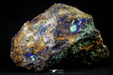 21198 - Beautiful Azurite Cristals + Malachite Cristals in Quartz Matrix - Alnif (South Morocco)