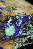 21198 - Beautiful Azurite Cristals + Malachite Cristals in Quartz Matrix - Alnif (South Morocco)