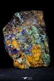 21198 - Beautiful Azurite Cristals + Malachite Cristals in Quartz Matrix - Alnif (South Morocco)