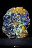 21199 - Beautiful Azurite Cristals + Malachite Cristals + Pyrite Crystals in Quartz Matrix - Alnif (South Morocco)