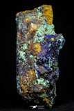 21199 - Beautiful Azurite Cristals + Malachite Cristals + Pyrite Crystals in Quartz Matrix - Alnif (South Morocco)