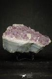 20139 -  Beautiful Purple Natural Amethyst Crystals Cluster Minas Gerais District - Brazil