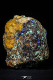 21199 - Beautiful Azurite Cristals + Malachite Cristals + Pyrite Crystals in Quartz Matrix - Alnif (South Morocco)