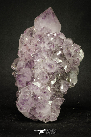 20141 - Beautiful Purple Natural Amethyst Crystals Cluster Minas Gerais District - Brazil