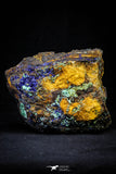 21202 - Beautiful Azurite Cristals + Malachite Cristals in Quartz Matrix - Alnif (South Morocco)