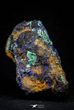 21202 - Beautiful Azurite Cristals + Malachite Cristals in Quartz Matrix - Alnif (South Morocco)
