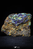 21202 - Beautiful Azurite Cristals + Malachite Cristals in Quartz Matrix - Alnif (South Morocco)