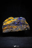 21202 - Beautiful Azurite Cristals + Malachite Cristals in Quartz Matrix - Alnif (South Morocco)
