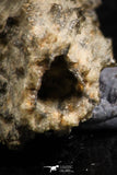 07303 -  Top Rare 2.02 Inch Fulgurite ("Petrified lightning") Collected in Algeria