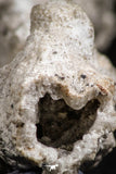 07305 -  Top Rare 5.26 Inch Fulgurite ("Petrified lightning") Collected in Algeria