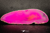 07311 -  Extremely Beautiful 3.79 Inch Brazilian Agate Slice (Chalcedony Geode Section)