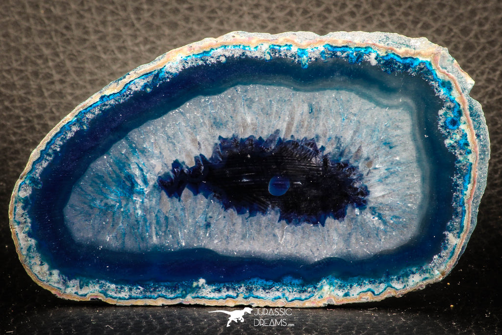 07318 - Top Rare 3.36 Inch Brazilian Agate Slice (Chalcedony Geode Section)