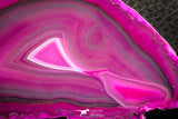07319 -  Top Beautiful 3.68 Inch Brazilian Agate Slice (Chalcedony Geode Section)