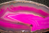 07320 - Beautiful 3.81 Inch Brazilian Agate Slice (Chalcedony Geode Section)