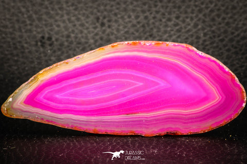 07323 -  Extremely Beautiful 3.44 Inch Brazilian Agate Slice (Chalcedony Geode Section)