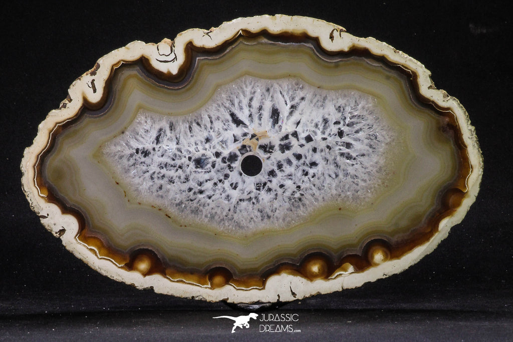 20248 -  Extremely Beautiful 7.87 Inch Brazilian Agate Slice (Chalcedony Geode Section)