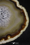 20248 -  Extremely Beautiful 7.87 Inch Brazilian Agate Slice (Chalcedony Geode Section)