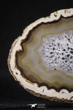 20248 -  Extremely Beautiful 7.87 Inch Brazilian Agate Slice (Chalcedony Geode Section)
