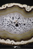20248 -  Extremely Beautiful 7.87 Inch Brazilian Agate Slice (Chalcedony Geode Section)