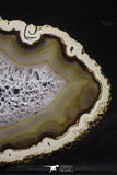 20248 -  Extremely Beautiful 7.87 Inch Brazilian Agate Slice (Chalcedony Geode Section)